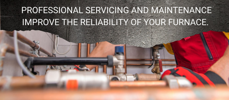 Professional servicing maintenance