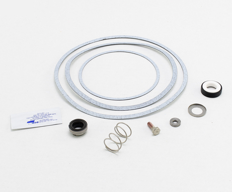 Raypak 950388F Seal Kit