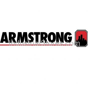 Armstrong Pumps 570200-476 Flo-Trex Valve 2.5" Flange Ansi 125