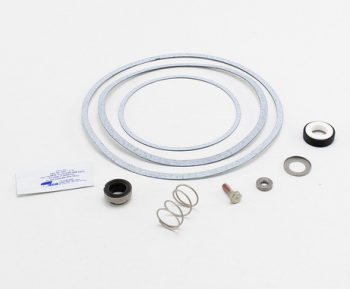 Raypak 950388F Seal Kit