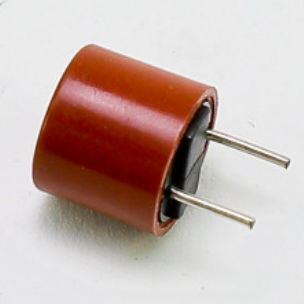 Fireye 23-197 Fuse for MEC120