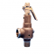 Kunkle 6021GF-T01-AM0150 Bronze Safety Relief Valve with Side Outlet 1-1/4" 150 PSI